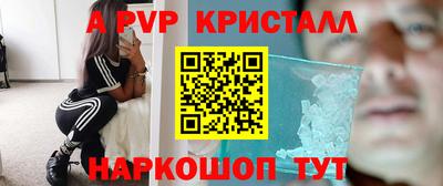 Альфа ПВП Будённовск