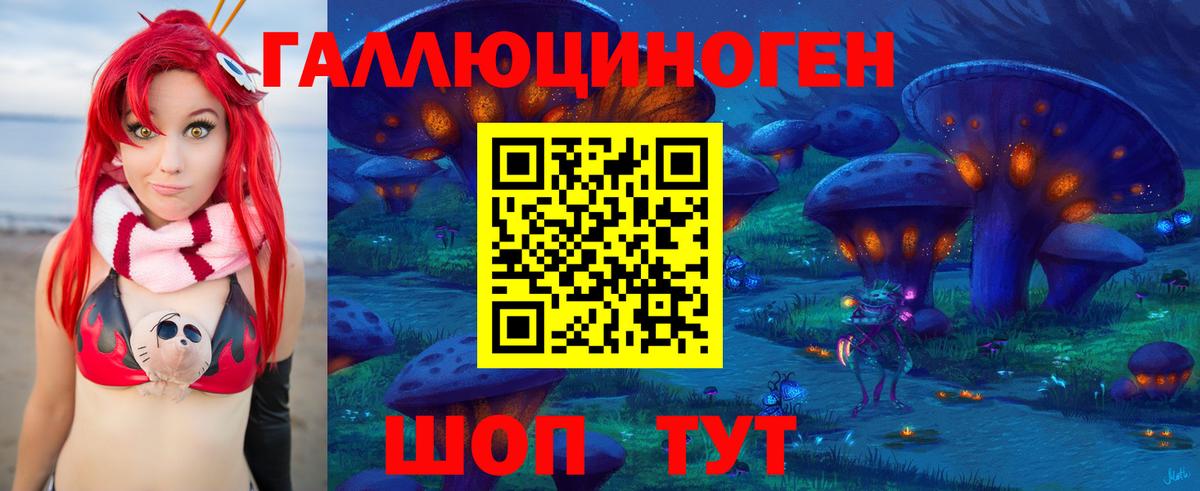 Электрогорск  Галлюциногенные грибы Magic Shrooms  Вход с VPN  Псилоцибиновые грибы Psilocybe 
